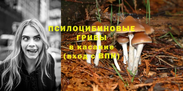 МДМА Аркадак